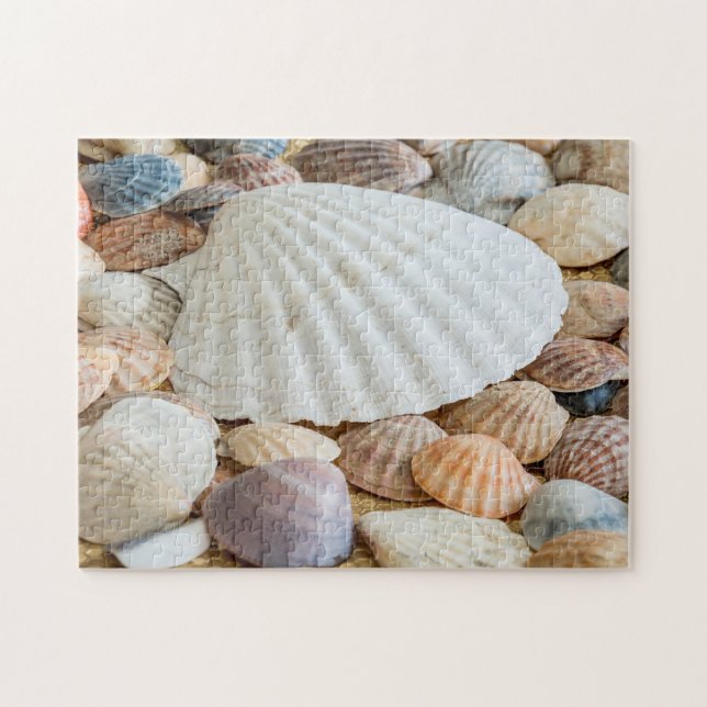 Seashells Foto Puzzle (Horizontal)