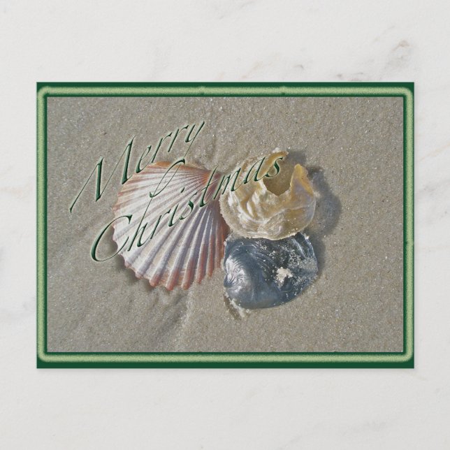 Seashells Frohe Weihnachtsserie Feiertagspostkarte (Vorderseite)
