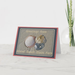 Seashells Gruß aus IBSP Seaside Park NJ Karte