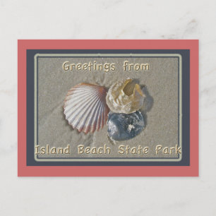 Seashells Gruß aus IBSP Seaside Park NJ Postkarte