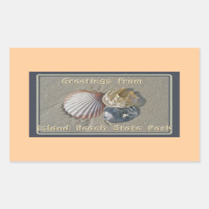 Seashells Gruß aus IBSP Seaside Park NJ Rechteckiger Aufkleber