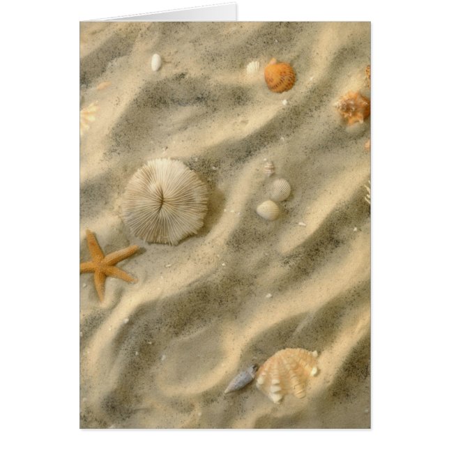 Seashells im Sand (Vorne)