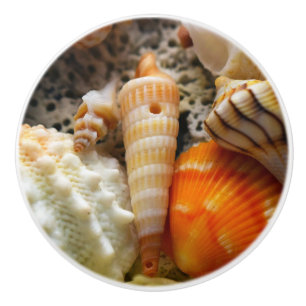 Seashells Keramik Knob Keramikknauf