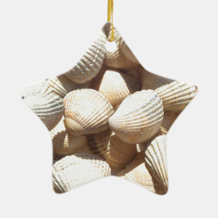 Seashells Keramik Ornament