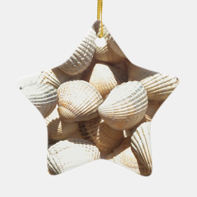 Seashells Keramik Ornament (Hinten)