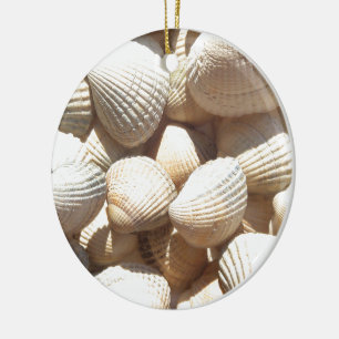 Seashells Keramik Ornament