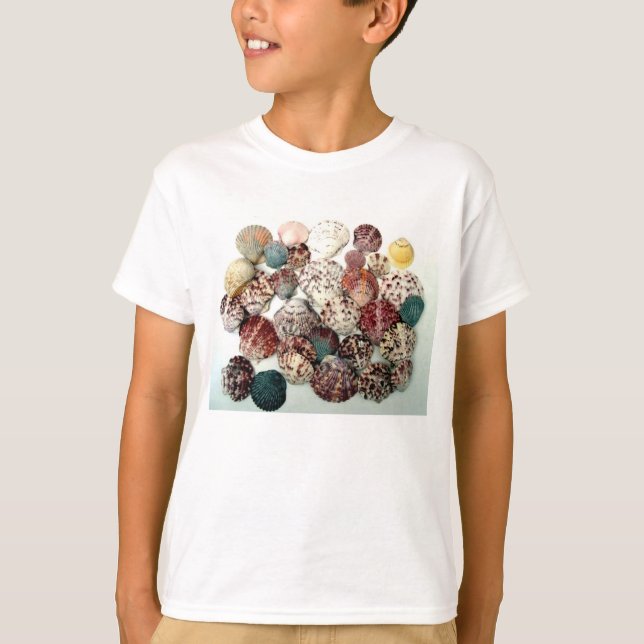 Seashells Kids T - Shirt (Vorderseite)
