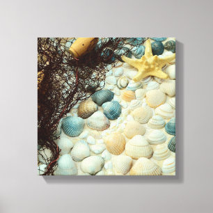 Seashells Leinwanddruck