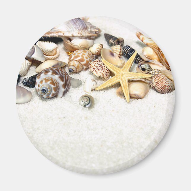 Seashells Magnet (Vorne)