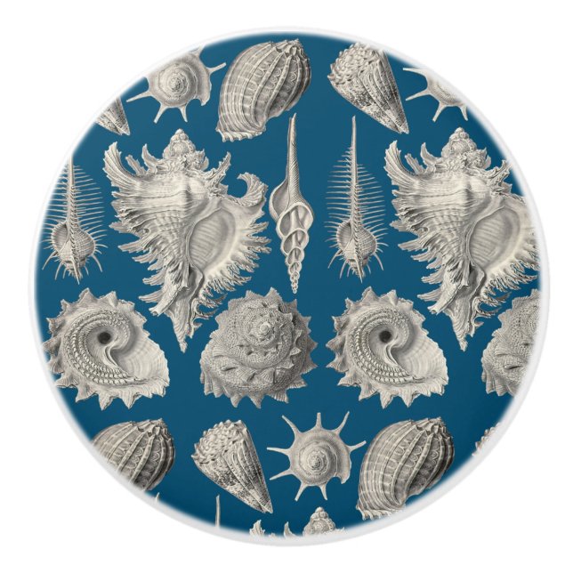 Seashells Nautical Beach Muscheln Blue White Keramikknauf (Vorderseite)