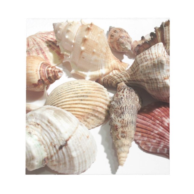 Seashells Notizblock (Vorderseite)