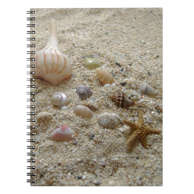 Seashells On Beach Sand Writing Journal Notizblock (Vorderseite)