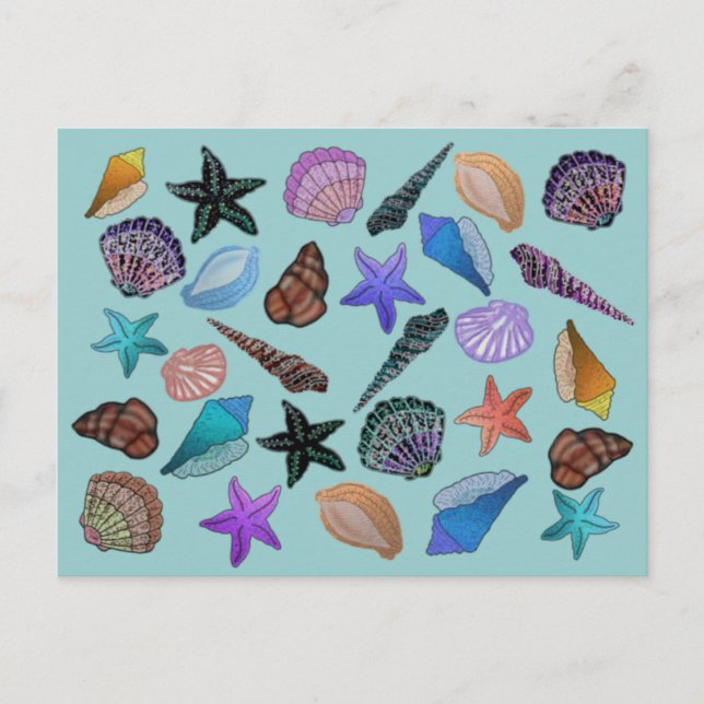 Seashells Postkarte (Vorderseite)