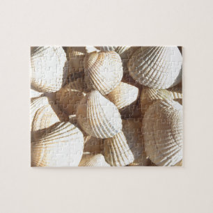 Seashells Puzzle