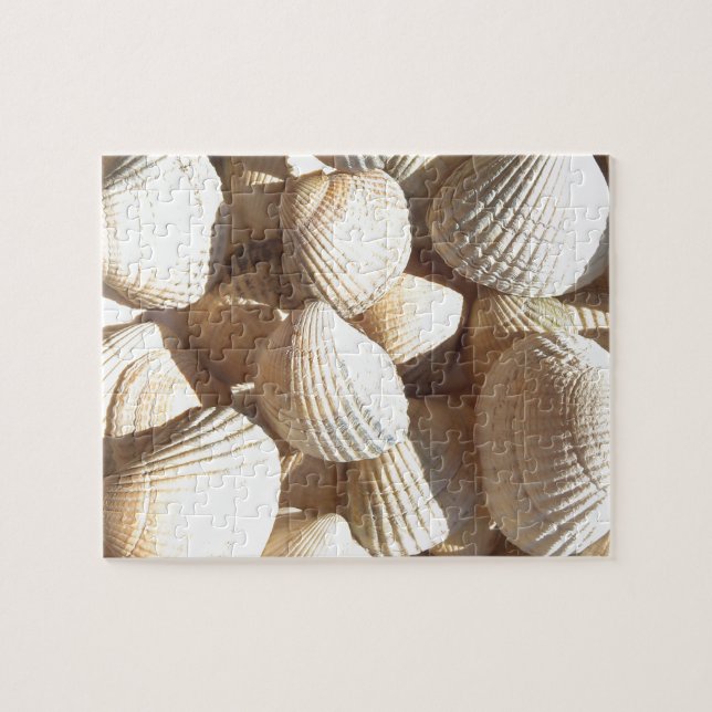 Seashells Puzzle (Horizontal)