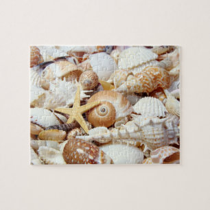 Seashells Puzzle