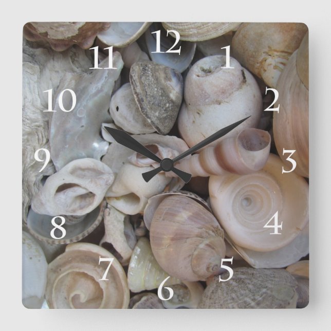 Seashells Quadratische Wanduhr (Vorderseite)