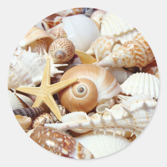 Seashells Runder Aufkleber (Vorderseite)