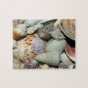 Seashells sammelte sich vom Strand Sanibel Island  Puzzle