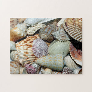Seashells sammelte sich vom Strand Sanibel Island  Puzzle