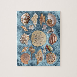 Seashells Sammlung Puzzle