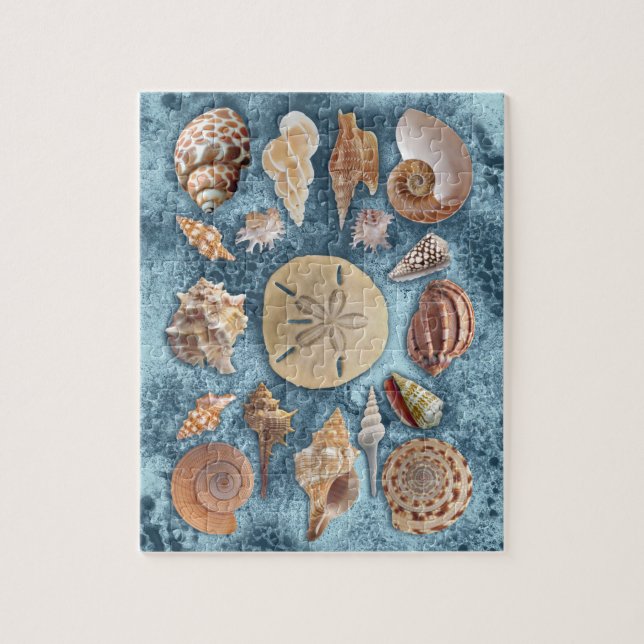 Seashells Sammlung Puzzle (Vertikal)