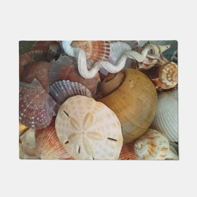Seashells Sand Dollar Beach Theme Fußmatte (Vorderseite)