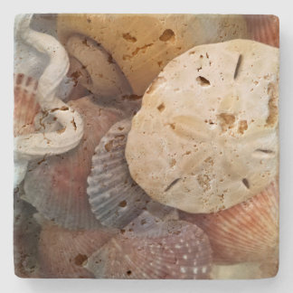 Seashells Sand Dollar Steinuntersetzer