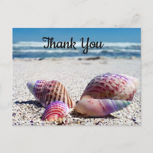 Seashells Sandy Beach Ocean Vielen Dank, Postcard Postkarte (Vorderseite)