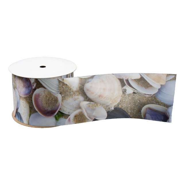 Seashells Satinband (Spule)