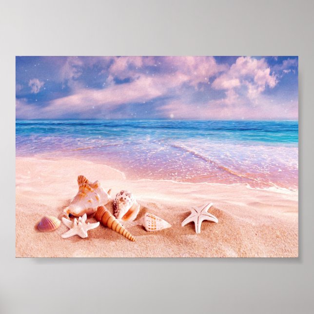 Seashells Sea Beach Poster (Vorne)
