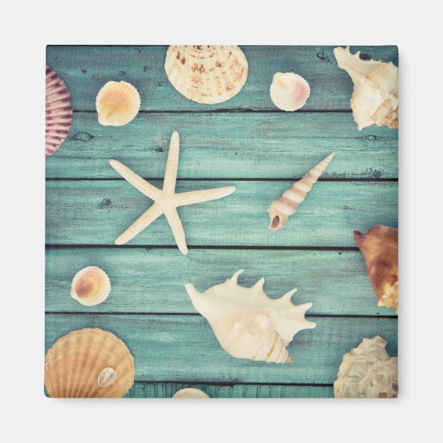 Seashells Selection Magnet (Vorne)