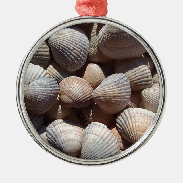 Seashells Silbernes Ornament (Vorne)