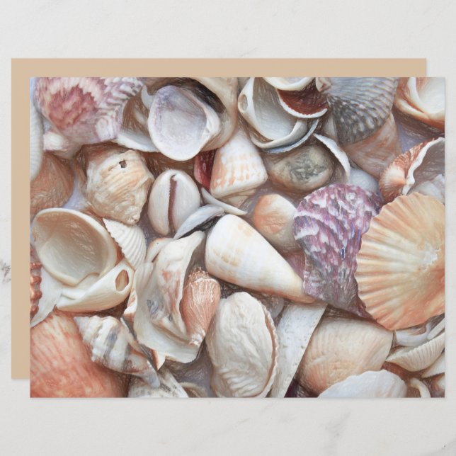 Seashells Sketch Ocean Nautical Beach Decoupage (Vorne/Hinten)