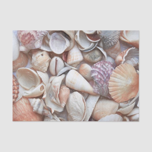 Seashells Sketch Ocean Nautical Beach Decoute Seidenpapier (Vorderseite)