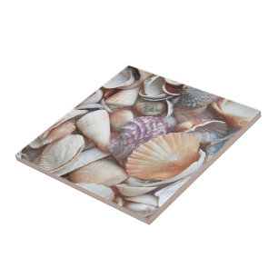 Seashells Sketch Ocean Nautical Beach Thema Fliese
