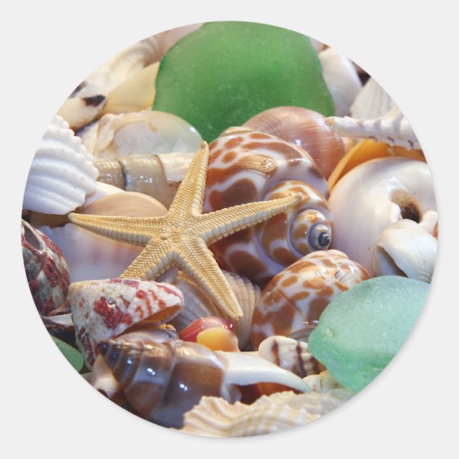 Seashells Starfish & Beach Glass Stickers (Vorderseite)