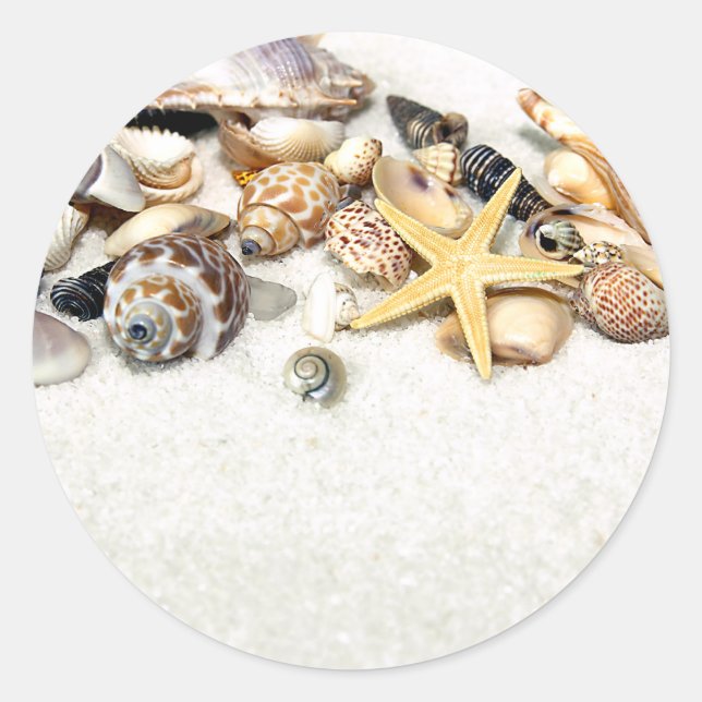 Seashells Stickers (Vorderseite)