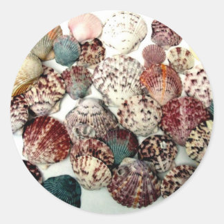 Seashells Stickers