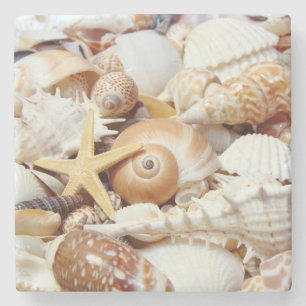 Seashells Stone Untersetzer