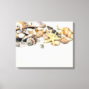 Seashells Stretched Canvas Print Leinwanddruck