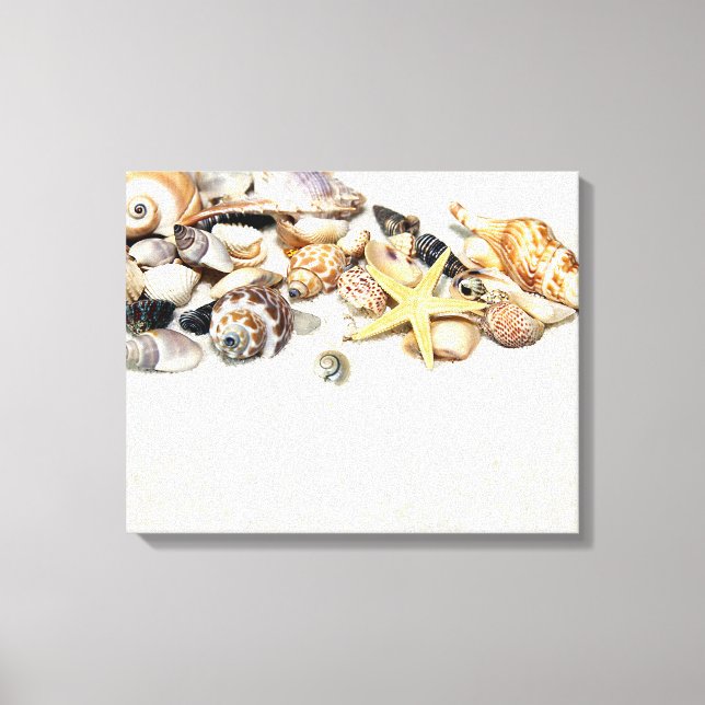 Seashells Stretched Canvas Print Leinwanddruck (Vorderseite)