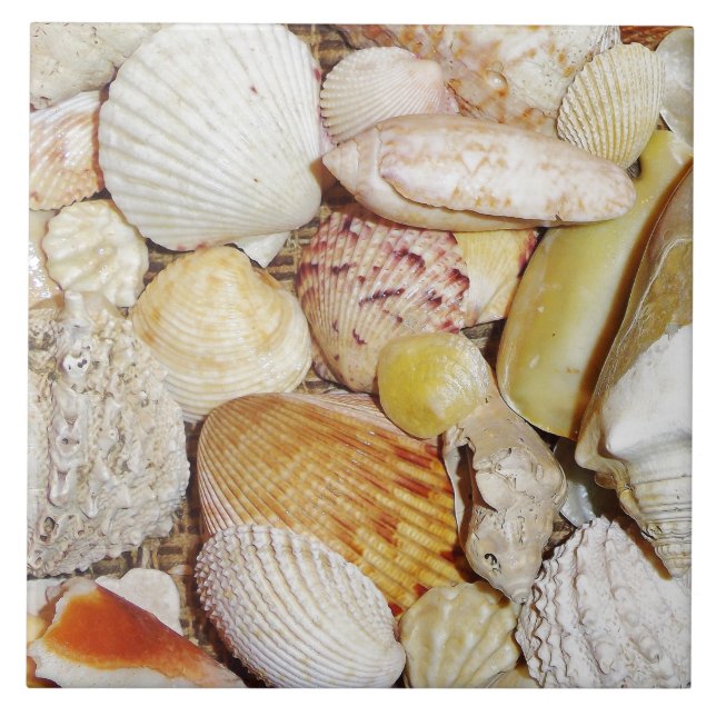Seashells Tile Fliese (Vorderseite)