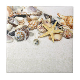 Seashells Tile Fliese