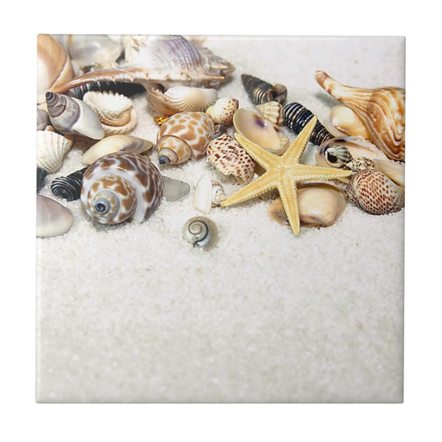 Seashells Tile Fliese (Vorderseite)