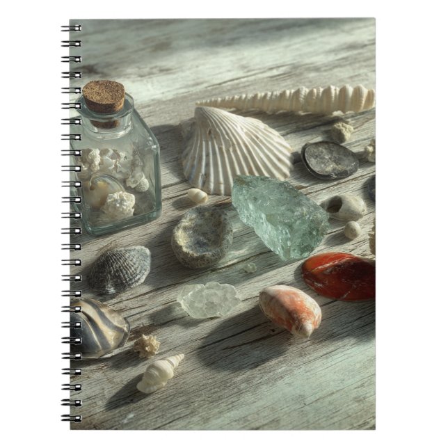 Seashells und Sea Glass Notebook Notizblock (Vorderseite)