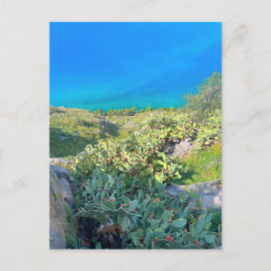 Seaside Cactus Nafplion Griechenland Postkarte