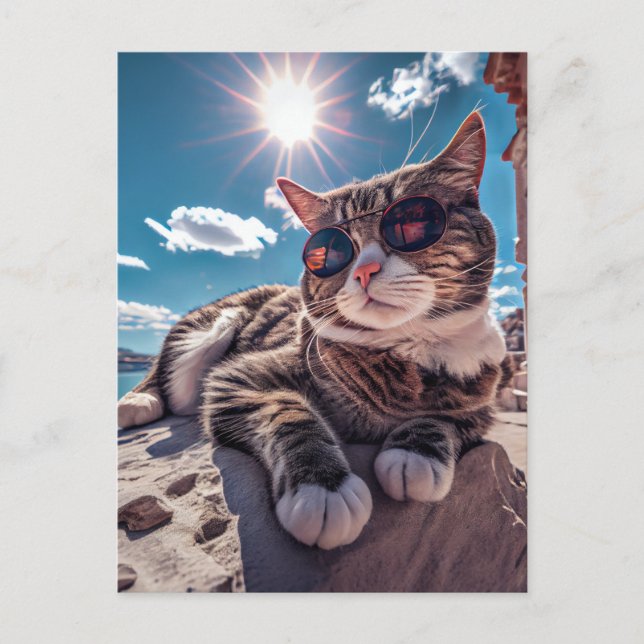 Seaside Cat Wearing Sunglasses Postcard Postkarte (Vorderseite)