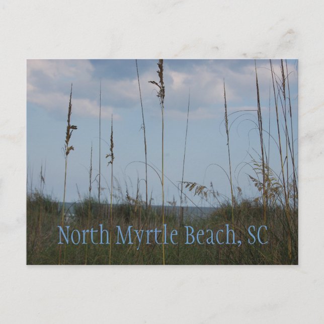 Seaside Dreams - North Myrtle Beach, SC Postkarte (Vorderseite)