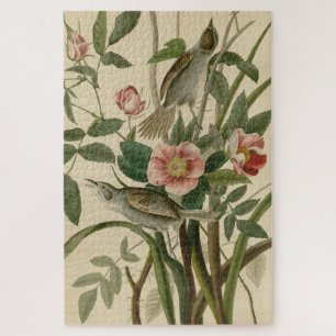 Seaside Finch (Sparrow) Audubons Vögel of America Puzzle
